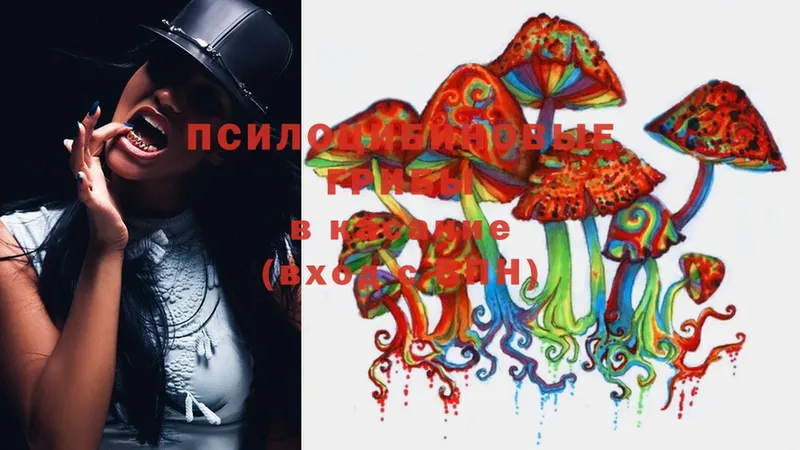 Псилоцибиновые грибы Cubensis  Венёв 